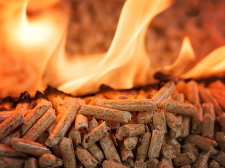 Why the Wood Pellet Machine Is Becoming a Core Asset in Biomass Energy Projects