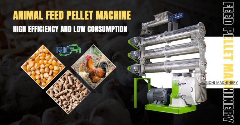 How Modern Feed Equipment Improves Livestock and Broiler Feed Production