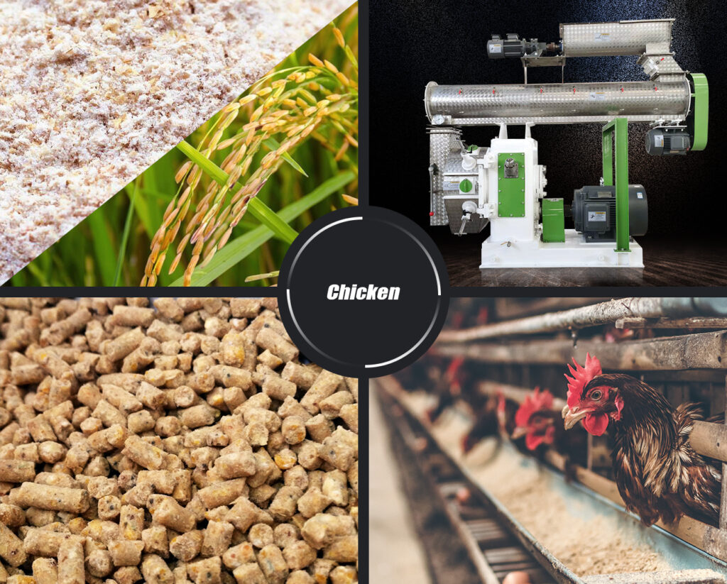 Poultry Feed Pellet Machine