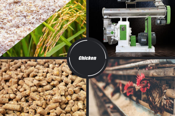 Poultry Feed Pellet Machine