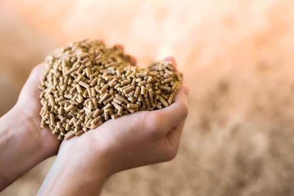 cattle feed pellets